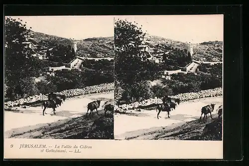 Stereo-AK Jerusalem, La Vallée du Cédron et Gethsémani