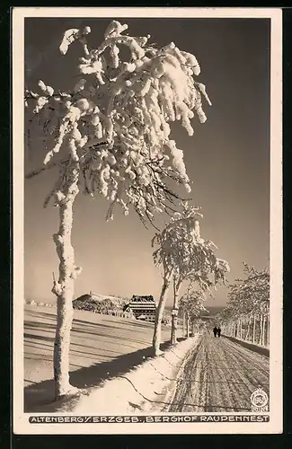 Foto-AK Walter Hahn, Dresden, Nr. 6762: Altenberg i. Erzgeb., Hotel Berghof Raupennest im Winter
