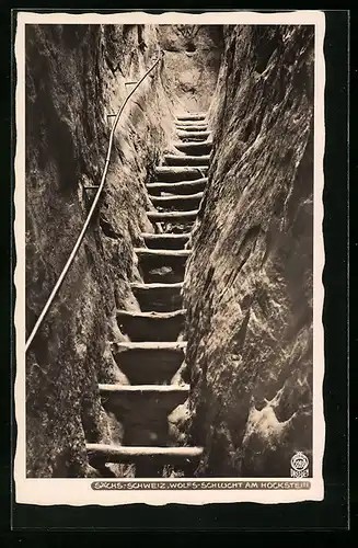 Foto-AK Walter Hahn, Dresden, Nr. 3288: Wolfsschlucht am Hockstein, Aufstieg