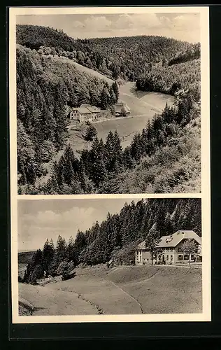 AK Mambach, Gasthaus und Pension Forsthof, Panorama