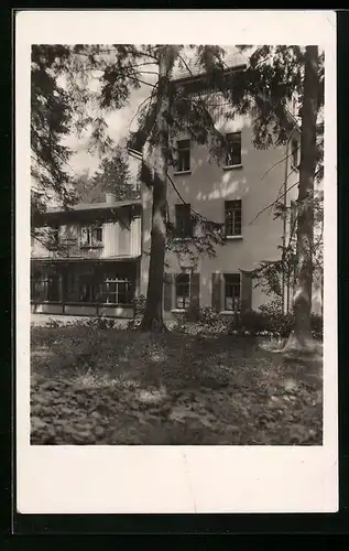 AK Elbingerode /Harz, Haus Tanne, Diakonissen-Mutterhaus, Neu-Vandsburg