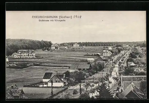 AK Friedrichsbrunn /Südharz, Dorfstrasse mit Villenpartie