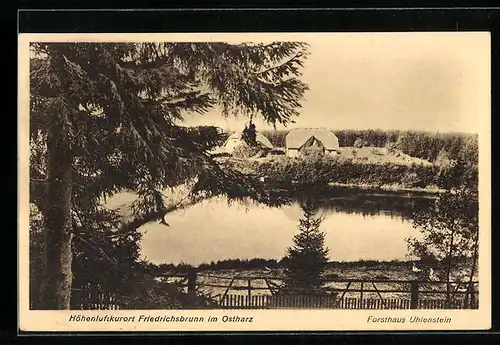 AK Friedrichsbrunn im Ostharz, Blick auf das Forsthaus Uhlenstein