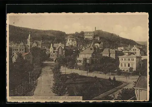 AK Blankenburg /Harz, Villenviertel, Westend` mit Ziegenkopf