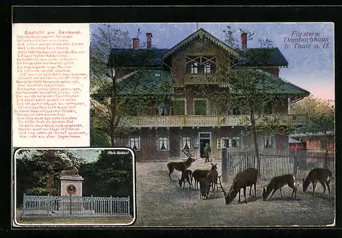 AK Thale a. H., Försterei Dambachhaus mit Hirschen, Pfeil`s Denkmal