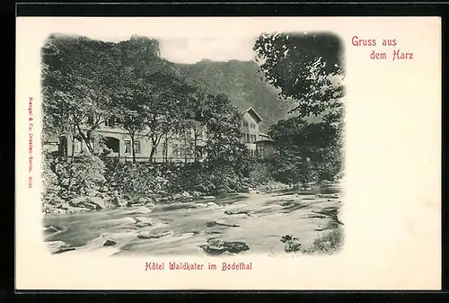 AK Thale, Im Flussbett neben dem Hotel Waldkater