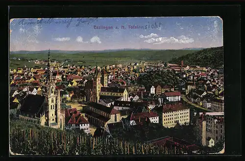 AK Esslingen a. N., Totalansicht der Stadt