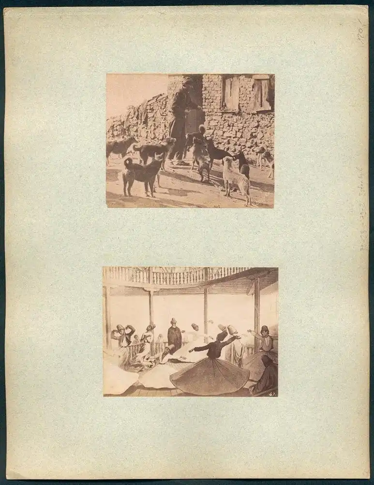 Fotografie Abdullah Frères, Konstantinopel, Ansicht Konstantinopel / Istanbul, Le grand Platane des Janissarres 1