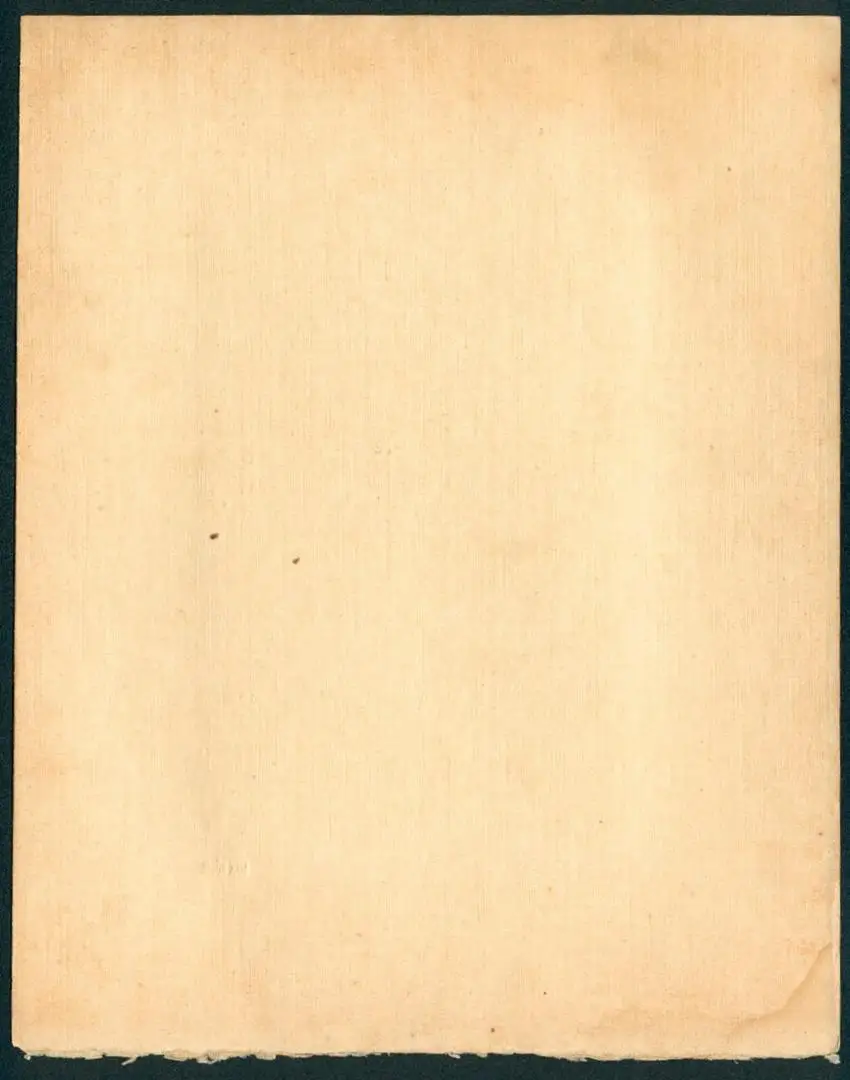 Fotoalbum mit 5 Fotografien, Max Kögel, Heidelberg, Studentika, Hotel Holländer Hof, Heidelberger Schloss, Brücke, 1913 10
