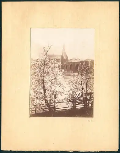 Fotoalbum mit 5 Fotografien, Max Kögel, Heidelberg, Studentika, Hotel Holländer Hof, Heidelberger Schloss, Brücke, 1913