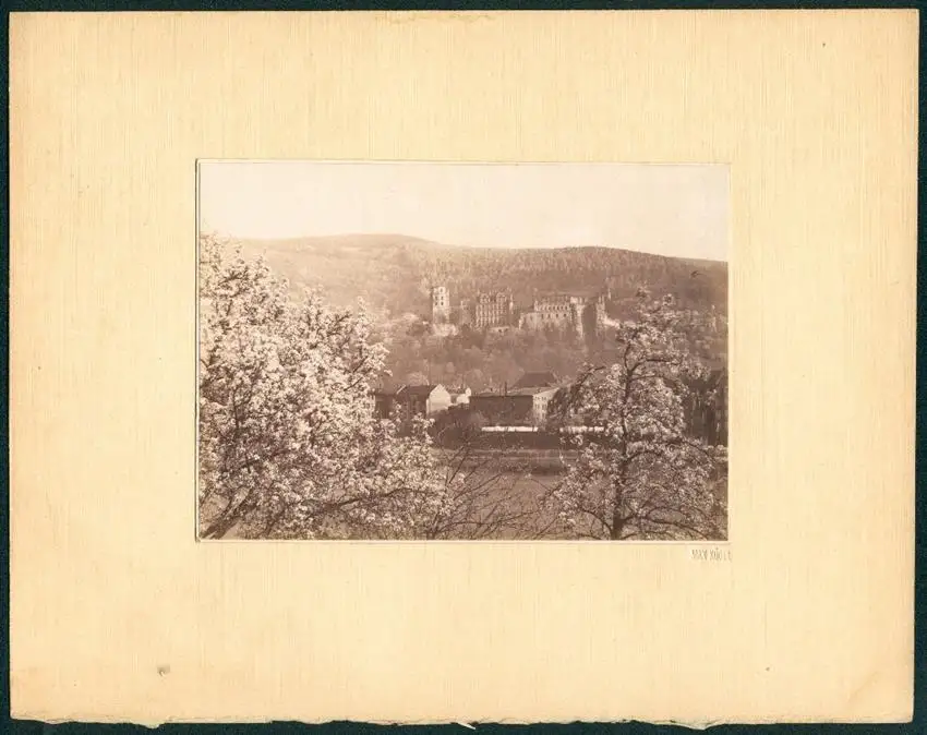 Fotoalbum mit 5 Fotografien, Max Kögel, Heidelberg, Studentika, Hotel Holländer Hof, Heidelberger Schloss, Brücke, 1913 3