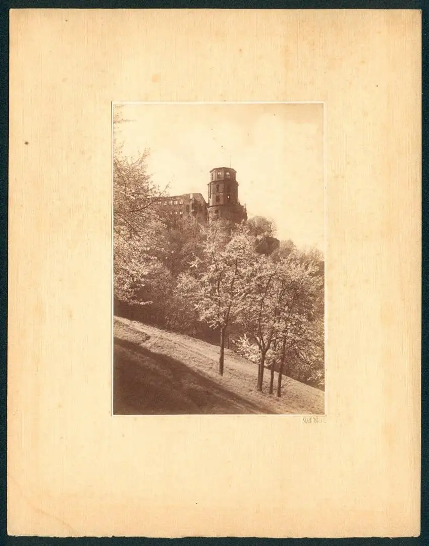 Fotoalbum mit 5 Fotografien, Max Kögel, Heidelberg, Studentika, Hotel Holländer Hof, Heidelberger Schloss, Brücke, 1913 4