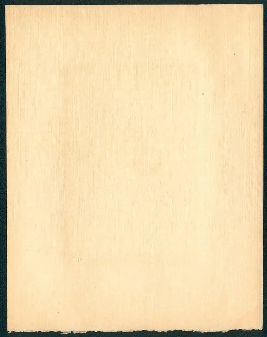 Fotoalbum mit 5 Fotografien, Max Kögel, Heidelberg, Studentika, Hotel Holländer Hof, Heidelberger Schloss, Brücke, 1913 7