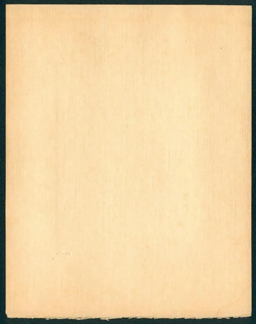 Fotoalbum mit 5 Fotografien, Max Kögel, Heidelberg, Studentika, Hotel Holländer Hof, Heidelberger Schloss, Brücke, 1913 8