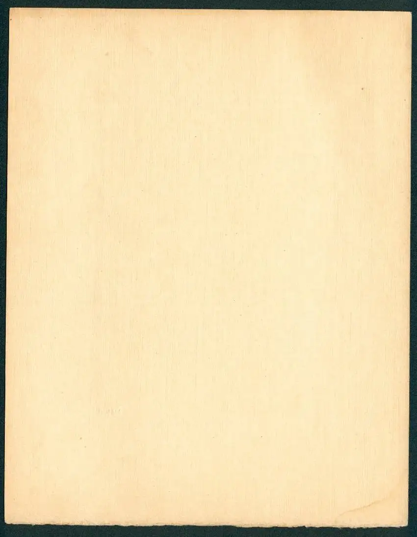 Fotoalbum mit 5 Fotografien, Max Kögel, Heidelberg, Studentika, Hotel Holländer Hof, Heidelberger Schloss, Brücke, 1913 9
