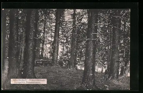 AK Friedenweiler, Waldpartie Frauenschächle