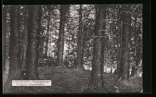 AK Friedenweiler, Ansicht auf Waldpartie Frauenschächle