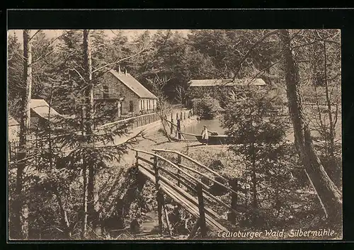 AK Leopoldsthal /Teutoburger Wald, Gasthaus Silbermühle mit Strasse