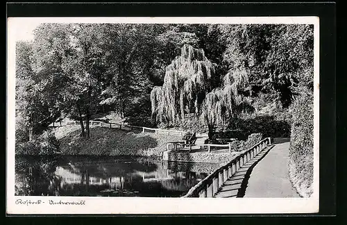 AK Rostock, Partie am Unterwall