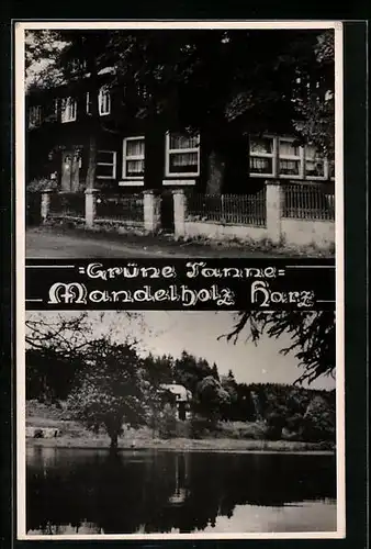 AK Mandelholz /Harz, Haus Grüne Tanne