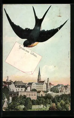 AK Löbau, Schloss und Schwalbe mit Nachricht