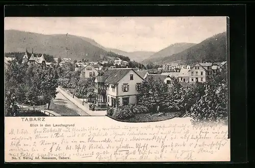 AK Tabarz, Blick in den Lauchagrund