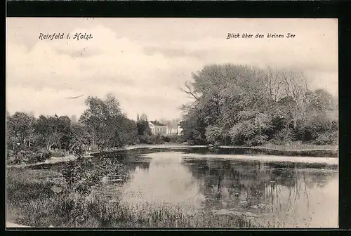 AK Reinfeld /Holst., Blick über den kleinen See