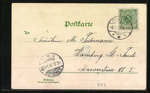 Lithographie Rudolstadt, Schloss, Anger