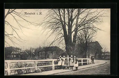 AK Reinfeld i. H., Ortspartie mit Brücke
