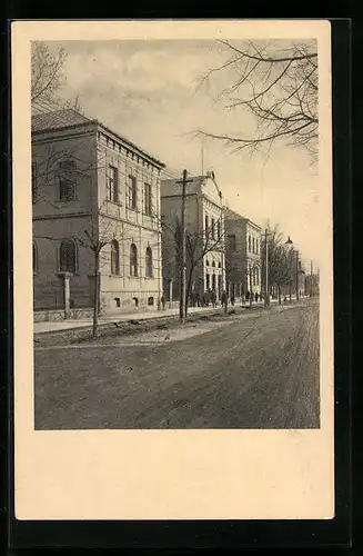 AK Mukacevo, Ruské gymnasium, Ortspartie