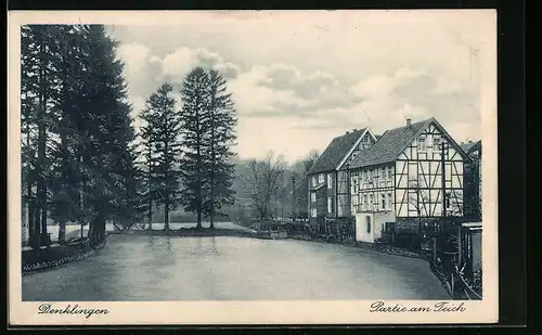 AK Denklingen /Rhld., Partie am Teich