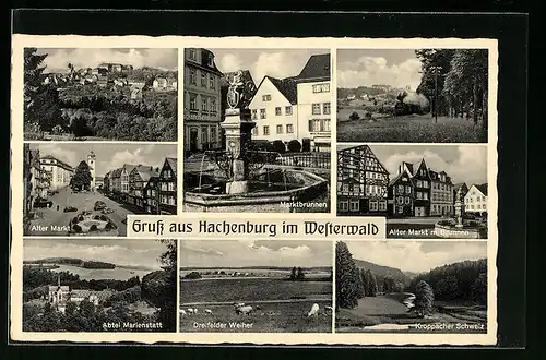 AK Hachenburg i. Westerwald, Alter Markt m. Brunnen, Kroppacher Schweiz, Abtei Marienstatt