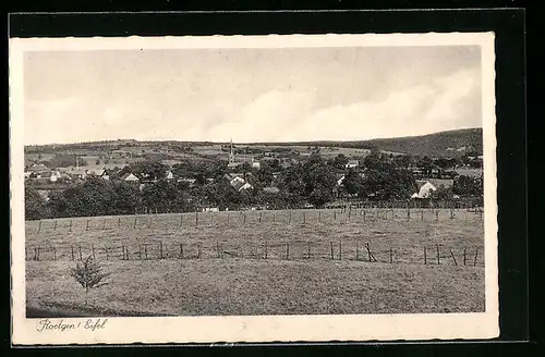 AK Roetgen /Eifel, Weidelandschaft mit Dorf im Hintergrund