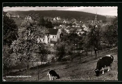 AK Schevenhütte, Blick über das Dorf vom Hügel aus