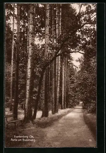 AK Frankenberg i. Sa., Partie am Bruhmweg