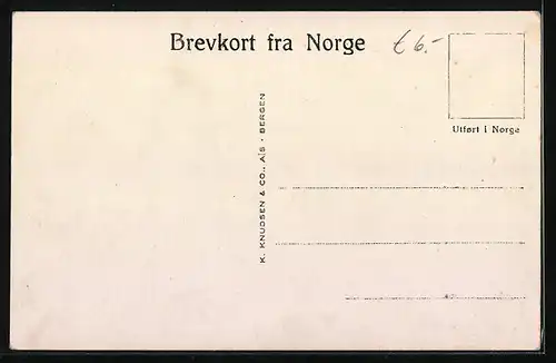 AK Balholmen i Sogn., Teilansicht mit Bergen