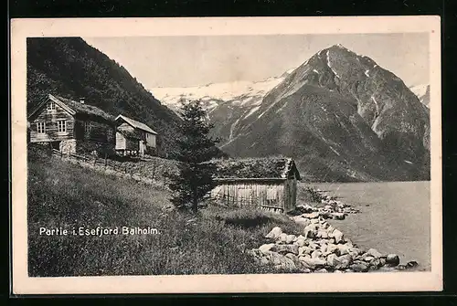 AK Balholm /Esefjord, Ortspartie mit Häusern