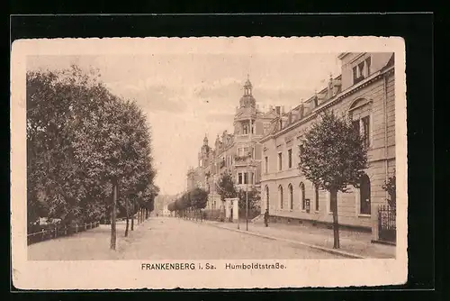 AK Frankenberg i. Sa., Partie in der Humboldtstrasse