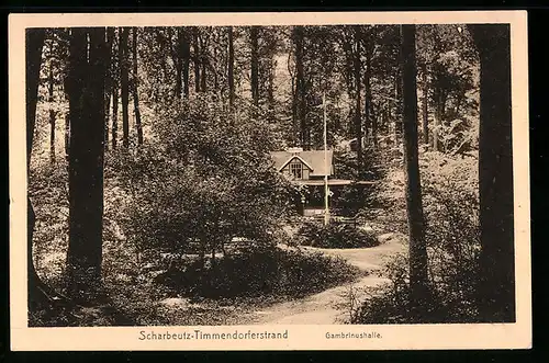 AK Scharbeutz-Timmendorferstrand, Gambrinushalle im dichten Wald
