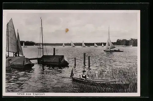 AK Berlin-Tegel, Tegeler See mit Segelbooten