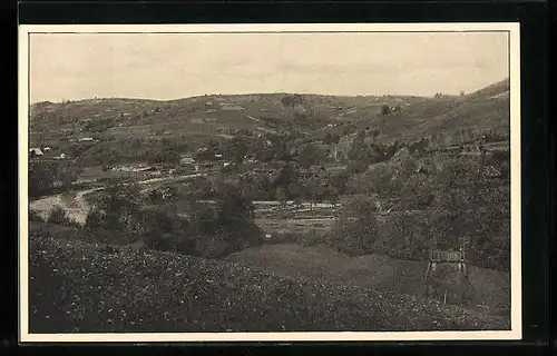 AK Jasina, Partie z Lazesciny