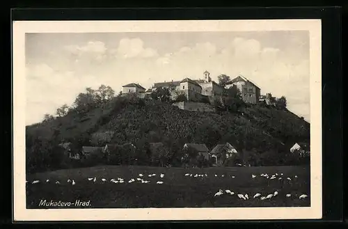 AK Mukacevo, Hrad