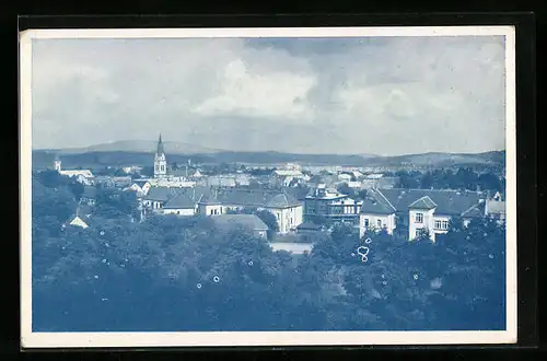 AK Mukacevo, Celkovy pohled