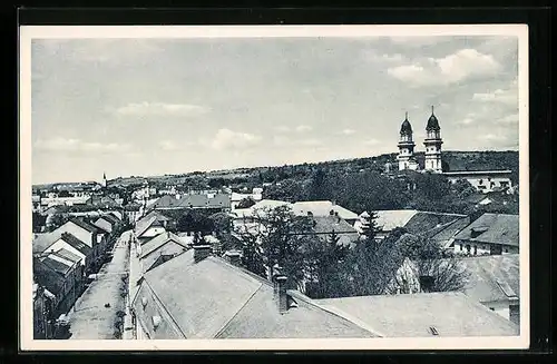 AK Uzhorod, Ortspartie aus der Vogelschau