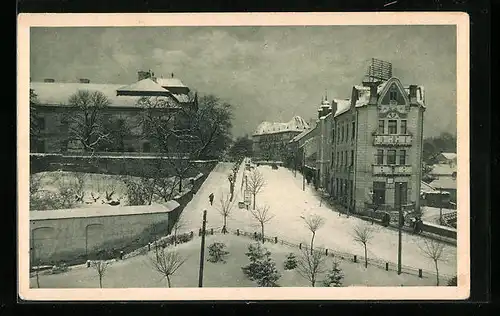 AK Uzhorod, Zupanát, posta, reálka