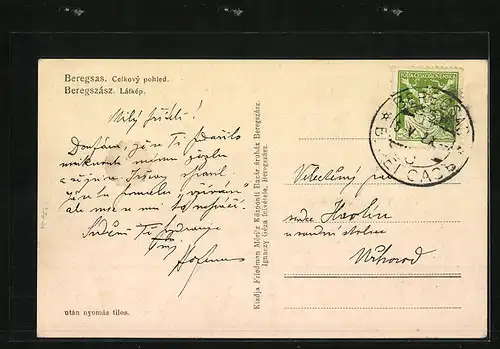 AK Beregsas, Celkový pohled