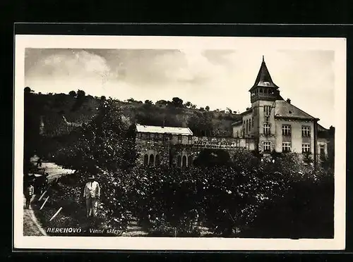 AK Berehovo, Vinné sklepy