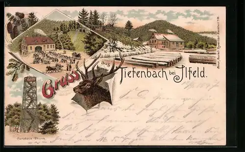 Lithographie Tiefenbach b. Ilfeld, Gasthaus, Carlshaus-Thurm, Hirsch