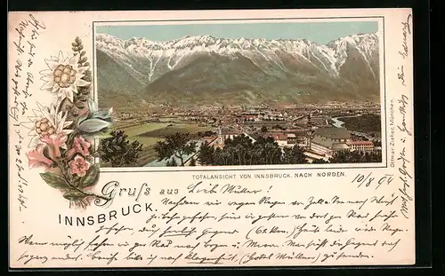 Vorläufer-Lithographie Innsbruck, 1894, Totalansicht mit Alpen, Edelweiss