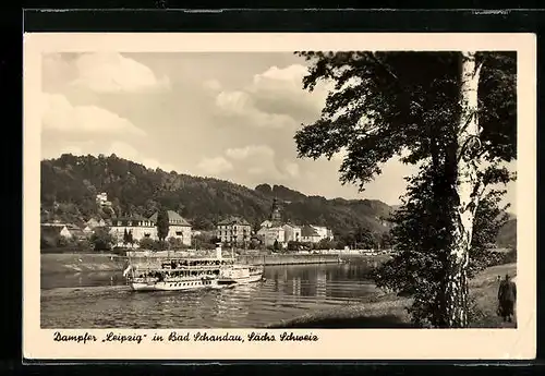 AK Bad Schandau, Elbedampfer Leipzig